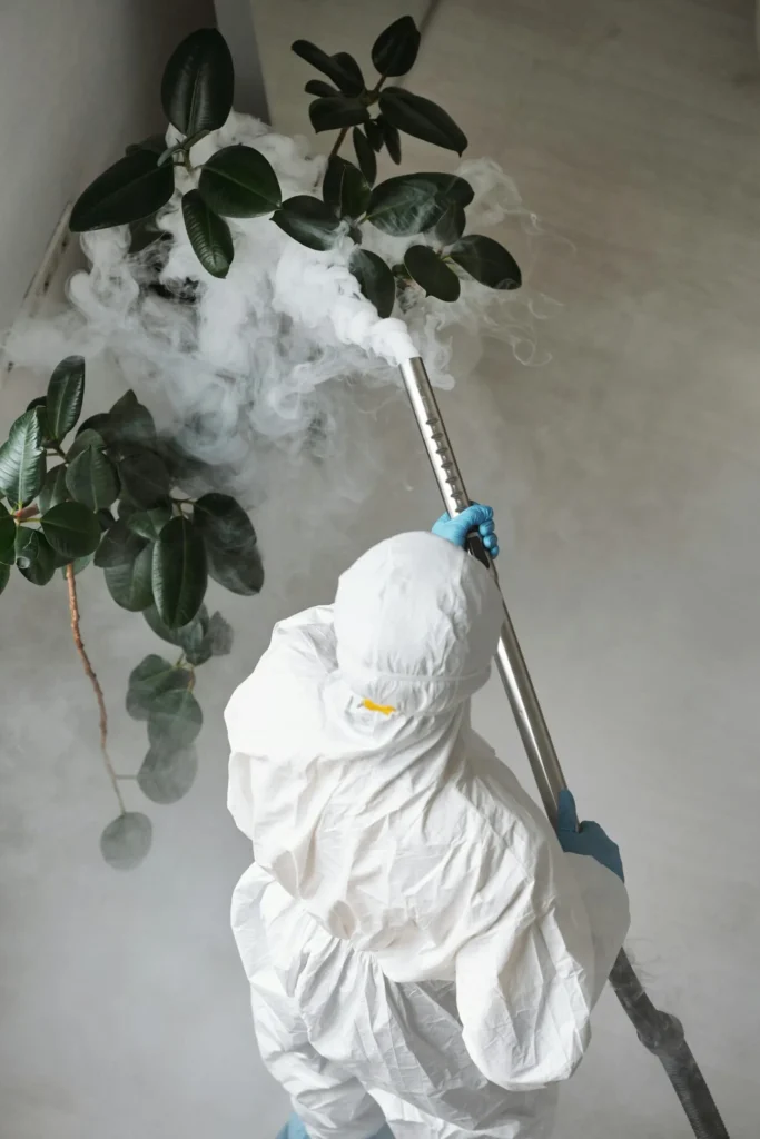 Trusted Pest Control - Bridgewater Exterminator Pros | Bridgewater, NJ | 732-800-9043